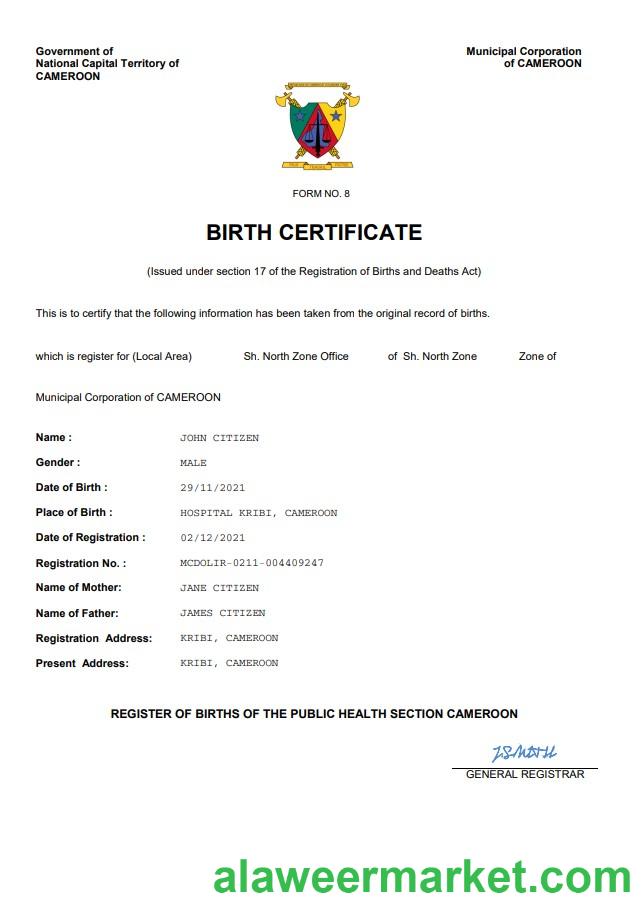 Cameroon vital record birth certificate Word and PDF template